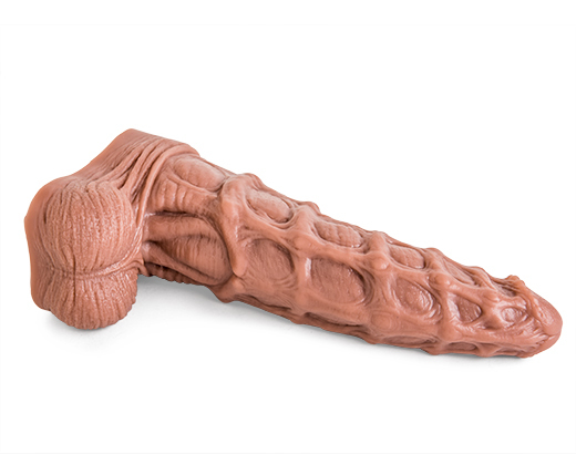 seahorse10