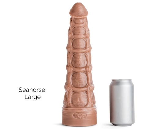 seahorse4