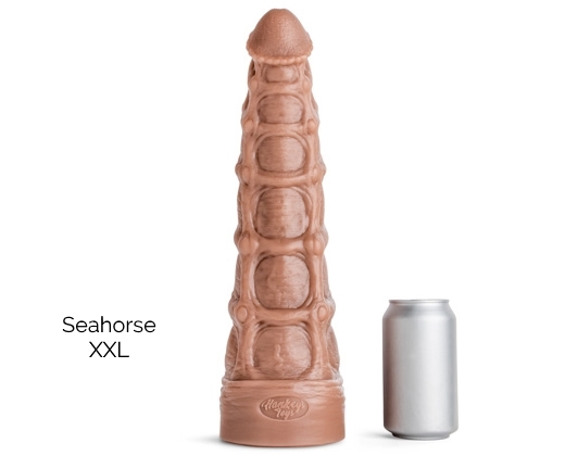 seahorse5