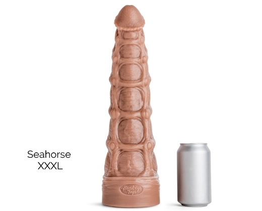 seahorse6
