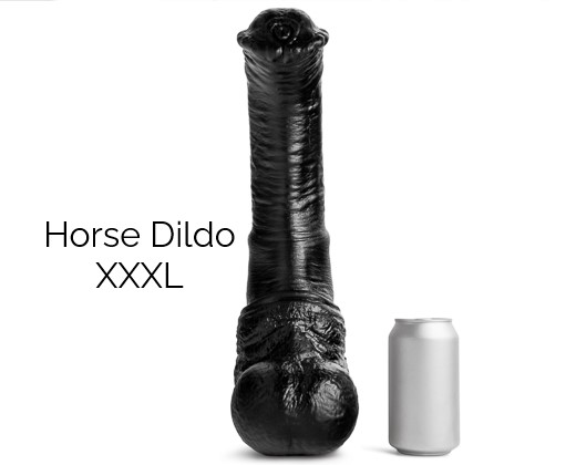 Horse-4
