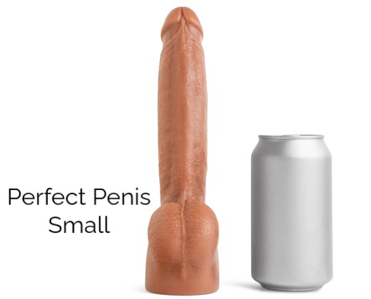 Perfect-Penis-2